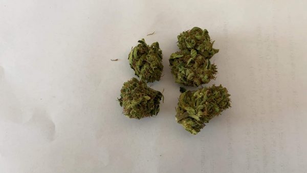 Orange Skunk Strain - Hybrid Cannabis